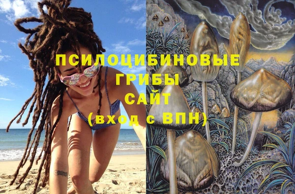 экстази Арсеньев