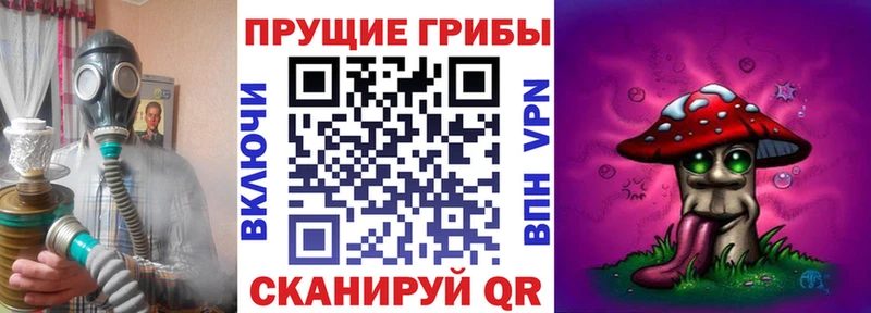 где купить   MEGA ССЫЛКА  Галлюциногенные грибы Psilocybine cubensis  Коркино 