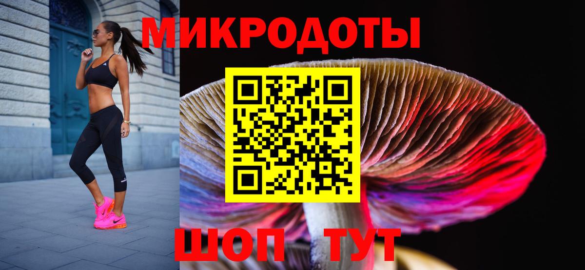 Псилоцибиновые грибы мухоморы  где купить наркоту  Коркино 