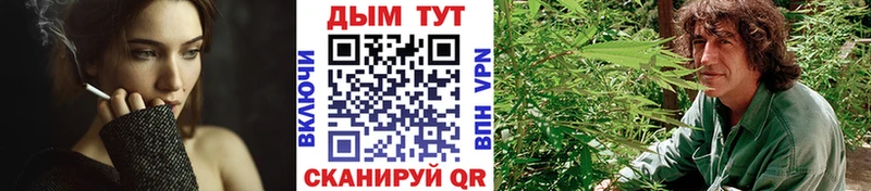 закладки Коркино Шишки марихуана планчик